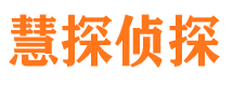 梅里斯市婚外情调查